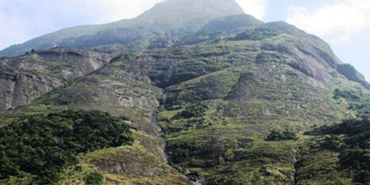 ഇനി-യാത്ര-തുടങ്ങാം…-കാടറിഞ്ഞ്