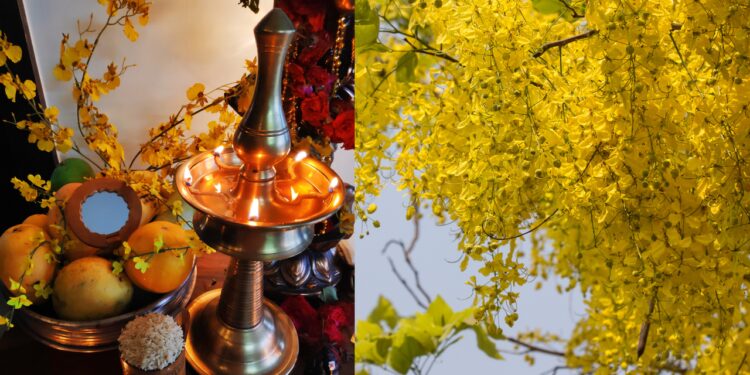 എന്താണ്-വിഷു?-ഈ-പേരിന്-പിന്നിലെ-കഥയെന്ത്?-കേരളത്തിന്റെ-വിളവെടുപ്പ്-ഉത്സവത്തിന്റെ-ചരിത്രം,-പ്രാധാന്യം,-ഐതീഹ്യം-എന്നിവ-അറിയാം!