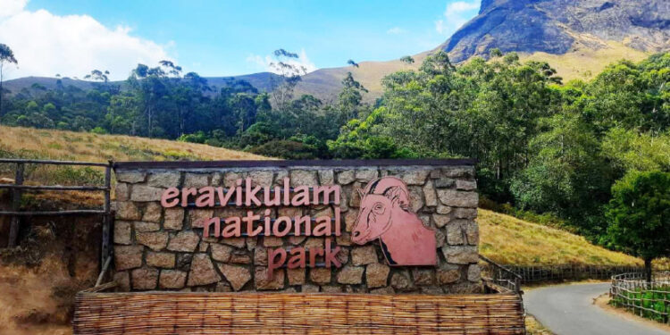 സഞ്ചാരികളെ-മാടിവിളിച്ച്-ഇക്കോ-ടൂറിസം-കേന്ദ്രങ്ങൾ