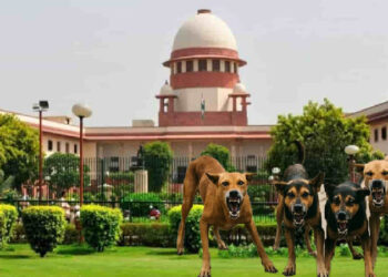 ജാമ്യം-വേണോ?-ഇനി-പഴയ-കേസുകളും-പറയണം;-ക്രിമിനൽ-കോടതികളിൽ-പുതിയ-നിബന്ധന-വരുന്നു