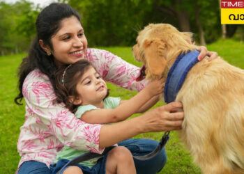 കനത്ത-ചൂടില്‍-അരുമ-മൃഗങ്ങള്‍ക്കും-വേണം-കരുതല്‍,-അവ-ചുറുചുറുക്കോടെ-തുടരാന്‍-ഉറപ്പാക്കാം-ഈ-7-കാര്യങ്ങള്‍