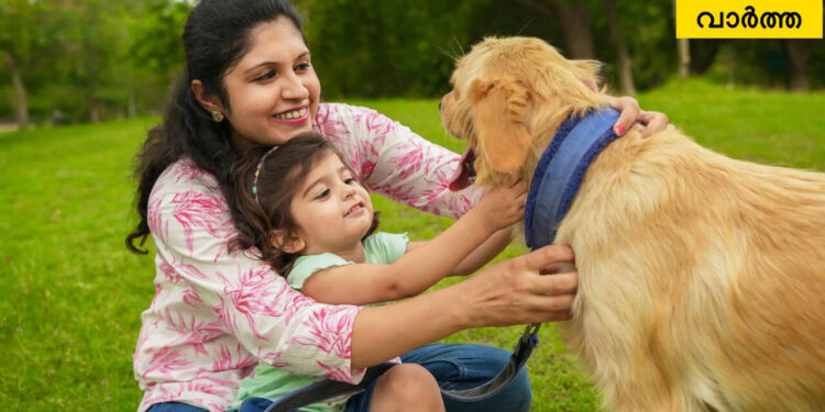 കനത്ത-ചൂടില്-അരുമ-മൃഗങ്ങള്ക്കും-വേണം-കരുതല്,-അവ-ചുറുചുറുക്കോടെ-തുടരാന്-ഉറപ്പാക്കാം-ഈ-7-കാര്യങ്ങള്