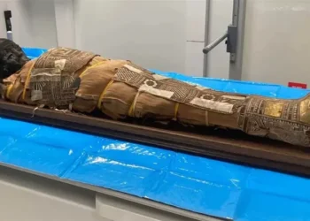 ‘കുഞ്ഞു-മമ്മി’യുടെ-നെഞ്ചിൽ-നിഗൂഢ-വസ്തു;-2000-വർഷം-പഴക്കമുള്ള-രഹസ്യം-തേടി-ശാസ്ത്രലോകം