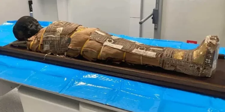 ‘കുഞ്ഞു-മമ്മി’യുടെ-നെഞ്ചിൽ-നിഗൂഢ-വസ്തു;-2000-വർഷം-പഴക്കമുള്ള-രഹസ്യം-തേടി-ശാസ്ത്രലോകം