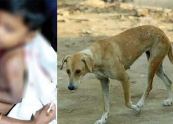 രാത്രിയിൽ-അമ്മയ്ക്കൊപ്പം-കിണറ്റുകരയിൽ-നിന്ന്-കുളിക്കുകയായിരുന്ന-നാലുവയസുകാരനെ-തെരുവുനായ-കടിച്ചുകീറി,-തലയിലും-ദേഹത്തും-പല്ലുകൾ-ആഴ്ന്നിറങ്ങിയ-മുറിവുകൾ,-നായയുടെ-പിടിയിൽ-നിന്നും-നിന്നും-കുഞ്ഞിനെ-മോചിപ്പിച്ചത്-കരച്ചിൽ-കേട്ട്-ഓടിക്കൂടിയ-പരിസരവാസികൾ,-പിന്നാലെ-നായ-ചത്ത-നിലയിൽ,-മറ്റ്-രണ്ട്-പേർക്കുകൂടി-നായയുടെ-കടിയേറ്റു