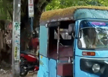 ചൂടിനെ-തോൽപ്പിക്കാൻ-‘വെറൈറ്റി-ഐഡിയ‘!-ഓട്ടോറിക്ഷയ്ക്ക്-മീതെ-വൈക്കോൽ-നിരത്തി-ഡ്രൈവറുടെ-പരീക്ഷണം;-കോഴിക്കോട്-മാനാഞ്ചിറയിൽ-നിന്നുള്ള-വ്യത്യസ്ത-കാഴ്ച