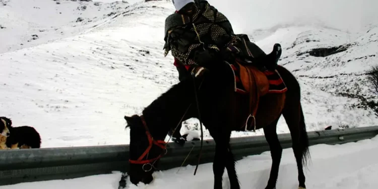 മഞ്ഞും-വജ്രഖനികളും-നിറഞ്ഞ-ആകാശരാജ്യം!-ആഫ്രിക്കയുടെ-ഉച്ചിയിലെ-അത്ഭുതം!-1000-മീറ്റർ-ഉയരത്തിൽ-തിളങ്ങുന്ന-ലെസോത്തോ…