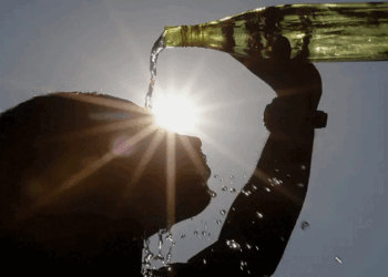 പെരും-ചൂട്;-മൂന്നാറിലെ-സ്ഥിതി-അപകടകരം;-അൾട്രാവൈലറ്റ്-വികിരണ-സൂചിക-എട്ടിൽ-എത്തി;-അതീവ-ജാഗ്രത-വേണമെന്ന്-കലക്ടർ