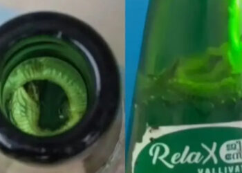 ജീരക-സോഡയില്‍-ചത്ത-പാമ്പിന്‍-കുഞ്ഞ്,-നിർമ്മാണ-യൂണിറ്റ്-അടച്ചുപൂട്ടി,-മുഴുവന്‍-സ്റ്റോക്കും-നശിപ്പിച്ച്-ഭക്ഷ്യ-സുരക്ഷാ-വകുപ്പ്,-സോഡാ-കുപ്പികള്‍-സൂക്ഷിച്ചിരുന്നത്-അടച്ചുറപ്പില്ലാത്ത-സ്ഥലത്ത്