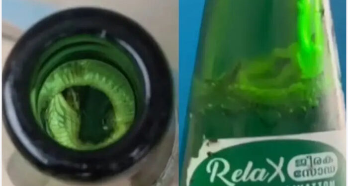 ജീരക-സോഡയില്‍-ചത്ത-പാമ്പിന്‍-കുഞ്ഞ്,-നിർമ്മാണ-യൂണിറ്റ്-അടച്ചുപൂട്ടി,-മുഴുവന്‍-സ്റ്റോക്കും-നശിപ്പിച്ച്-ഭക്ഷ്യ-സുരക്ഷാ-വകുപ്പ്,-സോഡാ-കുപ്പികള്‍-സൂക്ഷിച്ചിരുന്നത്-അടച്ചുറപ്പില്ലാത്ത-സ്ഥലത്ത്