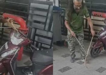 ഫ്ലാറ്റിനടിയിൽ-നിർത്തിയിട്ടിരുന്ന-സ്കൂട്ടർ-സ്റ്റാർട്ട്-ചെയ്യുന്നതിനിടെ-ഹെഡ്ലൈറ്റിനുള്ളിൽ-നിന്ന്-എന്തോ-ചീറ്റുന്ന-ശബ്ദം,-നോക്കിയപ്പോൾ-മൂർഖൻ-പാമ്പ്