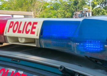 വീട്ടുവളപ്പില്‍-മനുഷ്യന്റെ-ശരീരഭാഗങ്ങള്‍,-കാണാതായ-അമ്മയുടെയും-മകന്റെയുമെന്ന്-സംശയം