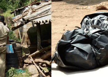 നെടുങ്കണ്ടത്ത്-വീട്ടുപറമ്പിൽ-നിന്നും-മൃതദേഹങ്ങൾ-കണ്ടെത്തിയ-സംഭവം;-പോസ്റ്റ്മോർട്ടം-ഇന്ന്;-പ്രതിയ്ക്കായി-അന്വേഷണം-ഊർജ്ജിതമാക്കി-പോലീസ്;-മേരിക്കുട്ടിയുടെ-ഭർത്താവിൻ്റെ-തിരോധാനം-വീണ്ടും-അന്വേഷിക്കാനും-തീരുമാനം