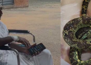 പോത്തിനെ-തീറ്റുന്നതിനിടെ-പാമ്പ്-കടിയേറ്റു,-കടിച്ച-പാമ്പിനെ-കയ്യോടെ-പിടികൂടി-കവറിലാക്കി-നേരെ-ആശുപത്രിയിലേക്ക്…ചികിത്സയിൽ-കഴിയുന്ന-യുവാവിന്റെ-ആരോ​ഗ്യനില-തൃപ്തികരം