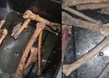 കിണറ്റിൽ-ചാക്കിൽ-കല്ലുകെട്ടി-താഴ്ത്തിയ-നിലയിൽ-അസ്ഥികഷ്ണങ്ങളും-അടിവസ്ത്രവും!!-സംഭവം-കണ്ടെത്തിയത്-കിണറ്റിൽ-വെള്ളം-കുറവായതിനാൽ-തൊട്ടിയിട്ട്-കോരാൻ-നോക്കിയപ്പോൾ-പോലീസ്-അന്വേഷണം-ആരംഭിച്ചു