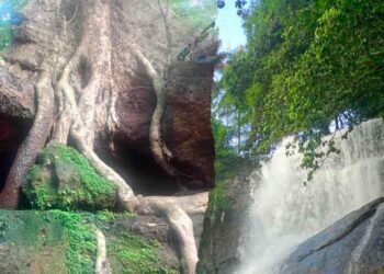 കൊച്ചരീക്കൽ-ഗുഹ-വഴി-അരീക്കൽ-വെള്ളച്ചാട്ടം-കണ്ടാലോ….