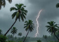 കേരളത്തിൽ-പരക്കെ-മഴയ്ക്ക്-സാധ്യത!-ബംഗാൾ-ഉൾക്കടലിൽ-സീസണിലെ-ആദ്യ-ന്യൂനമർദ്ദം-രൂപപ്പെടുന്നു?