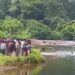 മുന്നറിയിപ്പ്-ബോർഡ്-അവ​ഗണിച്ചു,-പലവൻപടി-പുഴയിൽ-കുളിക്കാനിറങ്ങിയ-മൂന്ന്-ദന്തൽ-കോളേജ്-വിദ്യാർഥികൾക്ക്-ദാരുണാന്ത്യം!!-ഇതേപുഴയിൽ-മൂന്ന്-നഴ്സിങ്-കോളേജ്-വിദ്യാർഥികൾ-മുങ്ങിമരിച്ചത്-രണ്ടാഴ്ച-മുൻപ്