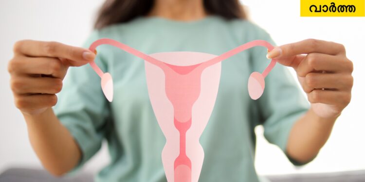 pcos-renamed-as-pmos:-സ്ത്രീകളെ-ബാധിക്കുന്ന-ഹോർമോൺ-രോഗമായ-pcos-ഇനി-pmos:-പുതിയ-പേരിന്റെ-അർത്ഥമെന്താണ്?-എന്തുകൊണ്ട്-പ്രാധാന്യമർഹിക്കുന്നു?