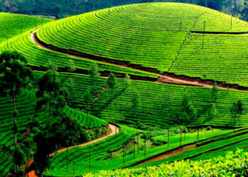 വിനോദ-സഞ്ചാരികൾക്ക്-പ്രവേശന-ഫീസ്-നടപ്പാക്കാനൊരുങ്ങി-മൂന്നാർ