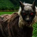 ഹൊറർ-സിനിമയിലെ-ജീവിയല്ല,-ജപ്പാന്റെ-‘ജീവ-രക്ഷകൻ’;-കരടികളെ-തുരത്താൻ-ഇതാ-ഒരു-‘മോൺസ്റ്റർ-വുൾഫ്’!