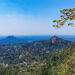 ശിലായുഗത്തിന്റെ-നിഴൽ-വീണ-വഴികൾ