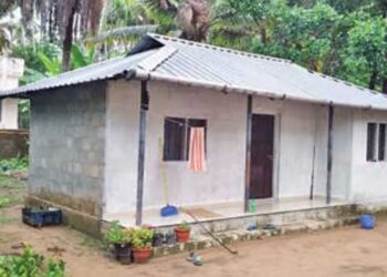 ഉറക്കത്തിൽ-കഴുത്തിലൂടെ-എന്തോ-ഉഴഞ്ഞു-പോകുന്നതുപോലെ,-ഉടനെ-ഒരുകൈകൊണ്ട്-അതിനെ-തട്ടിക്കളഞ്ഞു…-നോക്കിയപ്പോൾ-അണലി,-തൃപ്രയാറിൽ-15-കാരി-പാമ്പ്-കടിയേൽക്കാതെ-രക്ഷപ്പെട്ടു