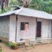 ഉറക്കത്തിൽ-കഴുത്തിലൂടെ-എന്തോ-ഉഴഞ്ഞു-പോകുന്നതുപോലെ,-ഉടനെ-ഒരുകൈകൊണ്ട്-അതിനെ-തട്ടിക്കളഞ്ഞു…-നോക്കിയപ്പോൾ-അണലി,-തൃപ്രയാറിൽ-15-കാരി-പാമ്പ്-കടിയേൽക്കാതെ-രക്ഷപ്പെട്ടു